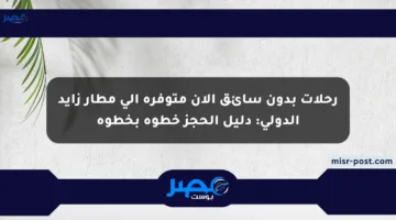 رحلات بدون سائق الآن متوفرة إلى مطار زايد الدولي: دليل الحجز خطوة بخطوة